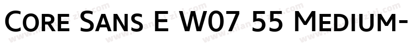Core Sans E W07 55 Medium字体转换